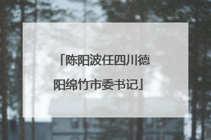 陈阳波任四川德阳绵竹市委书记