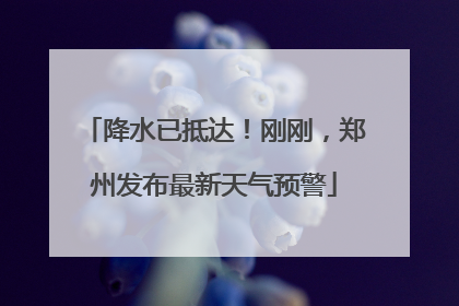 降水已抵达！刚刚，郑州发布最新天气预警