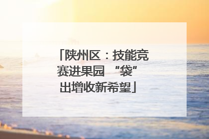 陕州区：技能竞赛进果园 “袋”出增收新希望