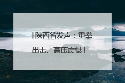 陕西省发声：重拳出击、高压震慑