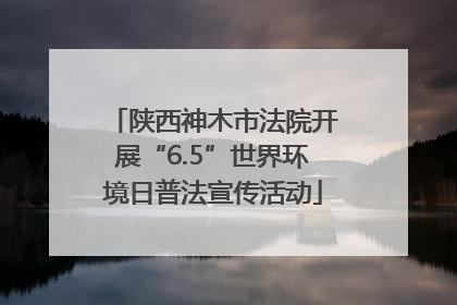 陕西神木市法院开展“6.5”世界环境日普法宣传活动