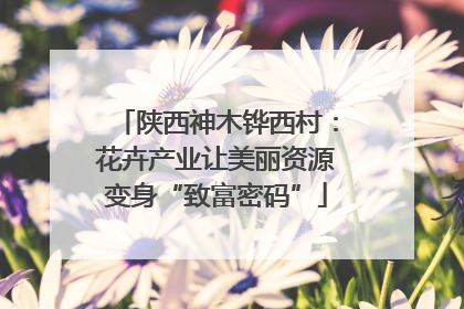 陕西神木铧西村：花卉产业让美丽资源变身“致富密码”