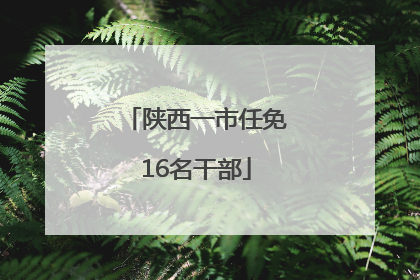 陕西一市任免16名干部