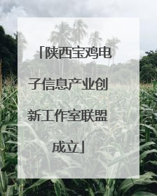 陕西宝鸡电子信息产业创新工作室联盟成立