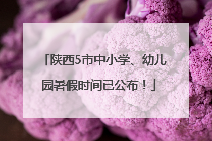 陕西5市中小学、幼儿园暑假时间已公布！