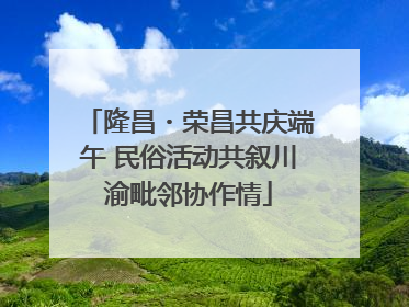隆昌・荣昌共庆端午 民俗活动共叙川渝毗邻协作情