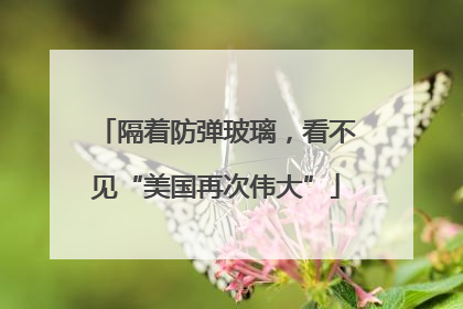隔着防弹玻璃，看不见“美国再次伟大”