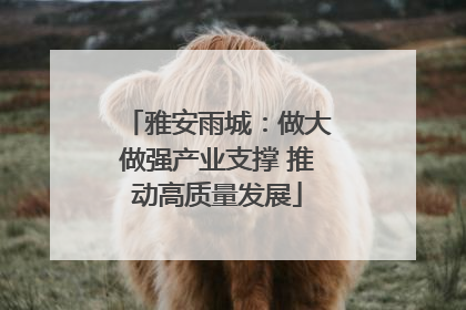 雅安雨城：做大做强产业支撑 推动高质量发展