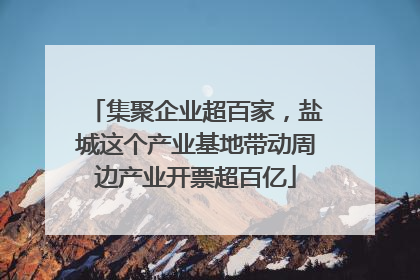 集聚企业超百家，盐城这个产业基地带动周边产业开票超百亿
