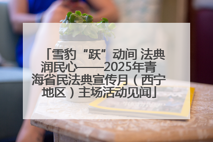 雪豹“跃”动间 法典润民心——2025年青海省民法典宣传月（西宁地区）主场活动见闻