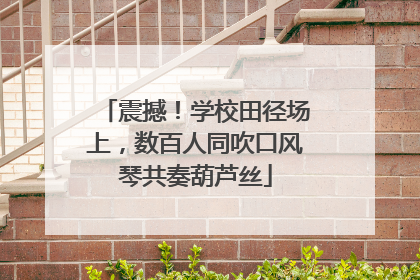 震撼！学校田径场上，数百人同吹口风琴共奏葫芦丝