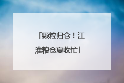 颗粒归仓！江淮粮仓夏收忙