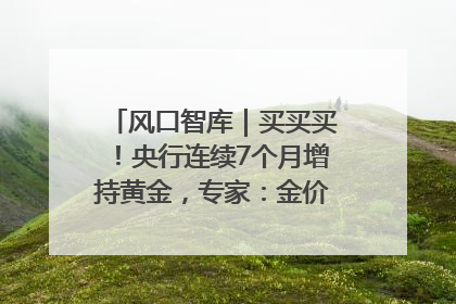 风口智库｜买买买！央行连续7个月增持黄金，专家：金价或仍易涨难跌