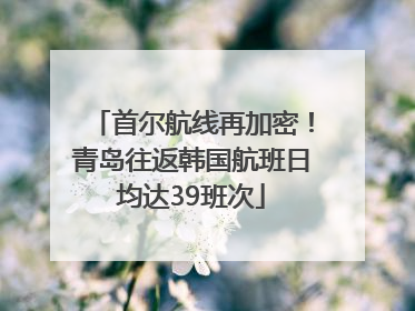 首尔航线再加密！青岛往返韩国航班日均达39班次
