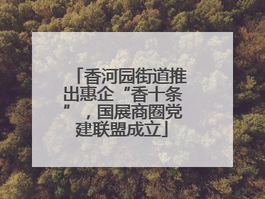 香河园街道推出惠企“香十条”，国展商圈党建联盟成立