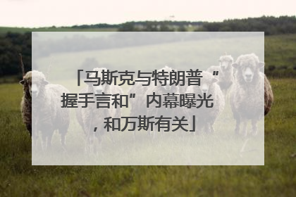 马斯克与特朗普“握手言和”内幕曝光，和万斯有关