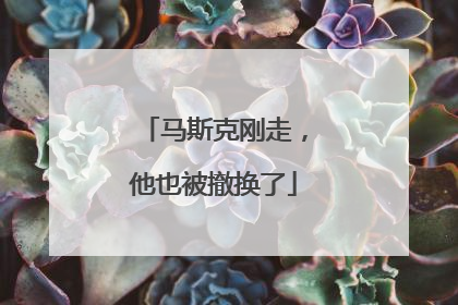 马斯克刚走，他也被撤换了