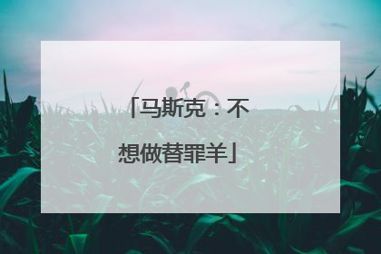 马斯克：不想做替罪羊