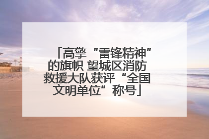 高擎“雷锋精神”的旗帜 望城区消防救援大队获评“全国文明单位”称号