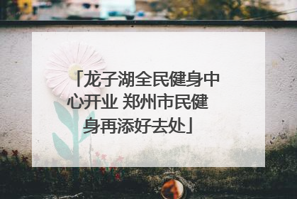 龙子湖全民健身中心开业 郑州市民健身再添好去处