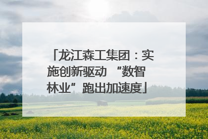 龙江森工集团：实施创新驱动 “数智林业”跑出加速度