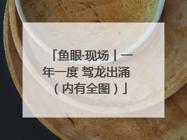 鱼眼·现场丨一年一度 驾龙出涌（内有全图）