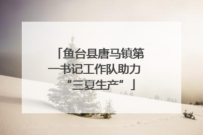 鱼台县唐马镇第一书记工作队助力“三夏生产”