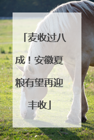 麦收过八成！安徽夏粮有望再迎丰收