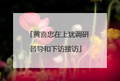黄喜忠在上犹调研督导和下访接访