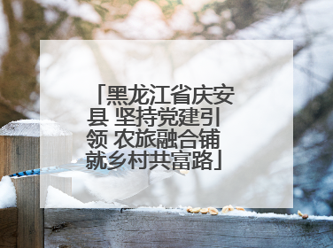 黑龙江省庆安县 坚持党建引领 农旅融合铺就乡村共富路