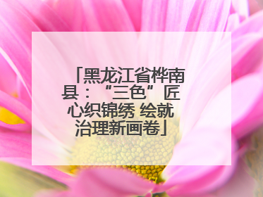 黑龙江省桦南县：“三色”匠心织锦绣 绘就治理新画卷