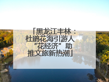 黑龙江丰林：杜鹃花海引游人 “花经济”助推文旅新热潮