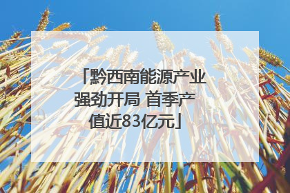 黔西南能源产业强劲开局 首季产值近83亿元