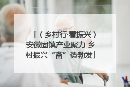 （乡村行·看振兴）安徽固镇产业聚力 乡村振兴“畜”势勃发
