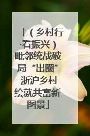 （乡村行·看振兴）毗邻统战破局“出圈” 浙沪乡村绘就共富新图景