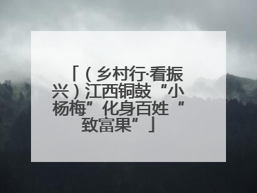（乡村行·看振兴）江西铜鼓“小杨梅”化身百姓“致富果”
