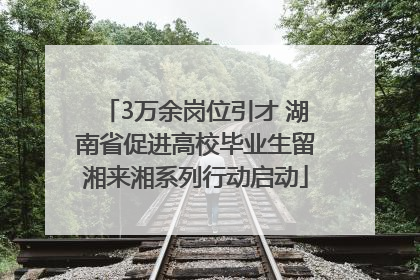 3万余岗位引才 湖南省促进高校毕业生留湘来湘系列行动启动