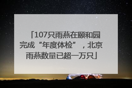 107只雨燕在颐和园完成“年度体检”，北京雨燕数量已超一万只