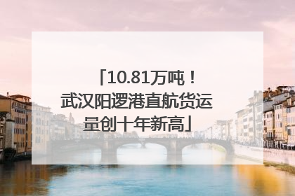 10.81万吨！武汉阳逻港直航货运量创十年新高