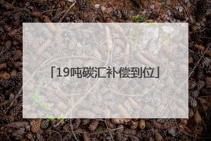 19吨碳汇补偿到位