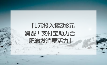 1元投入撬动8元消费！支付宝助力合肥激发消费活力