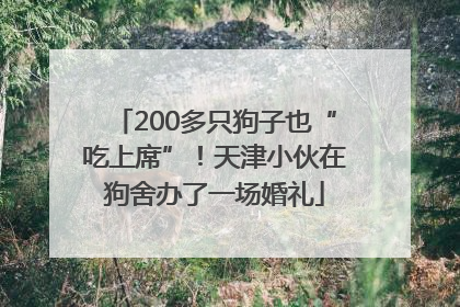 200多只狗子也“吃上席”！天津小伙在狗舍办了一场婚礼