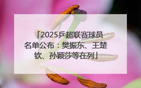 2025乒超联赛球员名单公布：樊振东、王楚钦、孙颖莎等在列