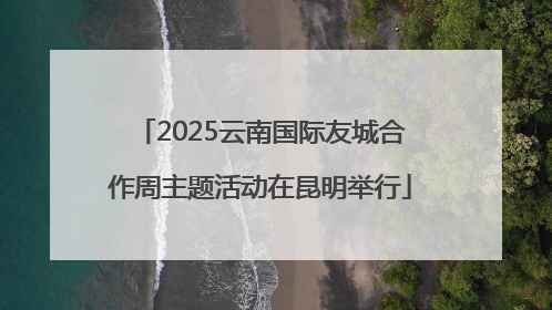2025云南国际友城合作周主题活动在昆明举行