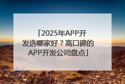 2025年APP开发选哪家好？高口碑的APP开发公司盘点
