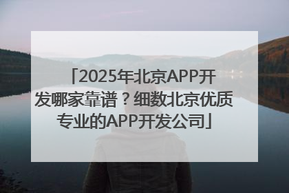 2025年北京APP开发哪家靠谱？细数北京优质专业的APP开发公司