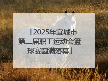 2025年宜城市第二届职工运动会篮球赛圆满落幕