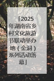2025年湖南省乡村文化旅游节联动举办地（金洞）系列活动落幕