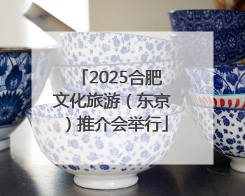 2025合肥文化旅游（东京）推介会举行