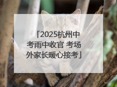 2025杭州中考雨中收官 考场外家长暖心接考